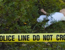 Penemuan Mayat Bayi dalam Kardus Gegerkan Warga Serang