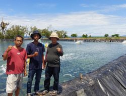 Petambak Udang Didorong Gunakan Budidaya Sistem Teknologi Intensif