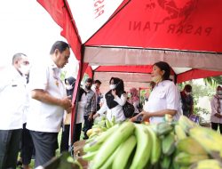 Dinas TPH Sulteng Gelar Pasar Tani, Libatkan Petani dan UMKM
