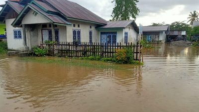 Banjir di di Parimo, Rendam 40 Hektar Sawah di Desa Tanalanto
