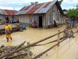 Banjir Rendam Belasan Rumah Warga di Desa Olaya
