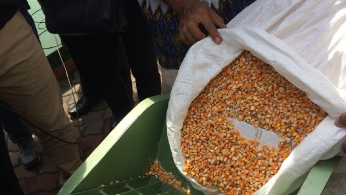 Kepolisian Akan Terima Bantuan 7 Ton Benih Jagung dari Dinas TPHP Parimo