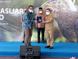 Gubernur Sulteng Melepasliarkan Burung Maleo ke Habitat Aslinya