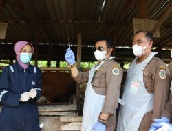 Mentan SYL: Data Pelaporan Terkini, PMK Telah Terdeteksi di 18 Provinsi