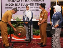 Rakerda IBI Sulteng, Konsolidasi Hadapi Kesehatan Ibu dan Anak