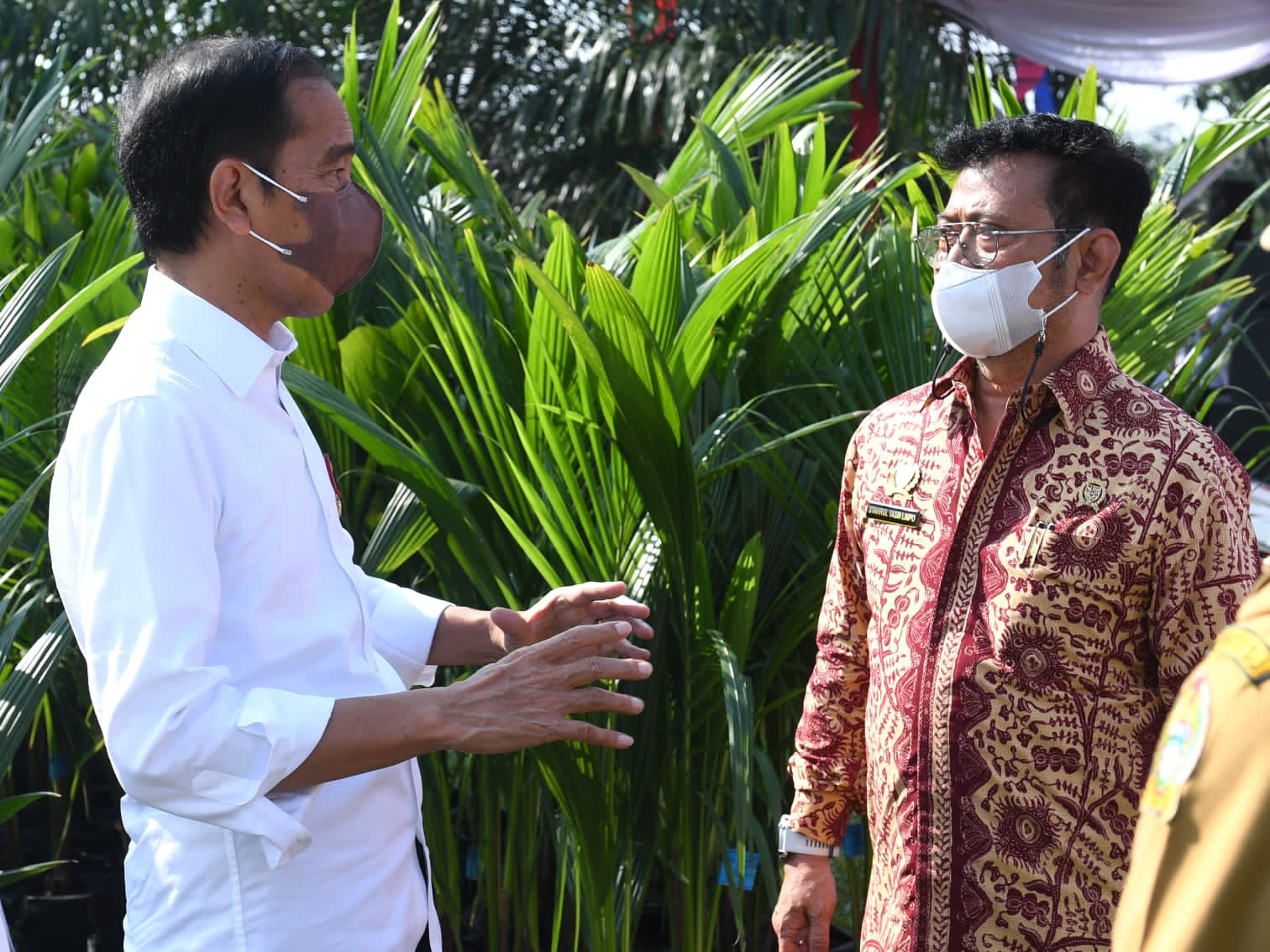 Mentan SYL Targetkan Produksi 1 Juta Benih Kelapa