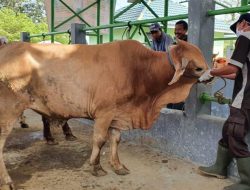 Terget 2024, Ada Delapan Sekolah Lapang Akan Dibuka di Parimo