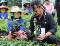 Mentan SYL Pacu Pengembangan Bibit Kopi Unggul