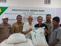 Dua Gapoktan di Kabupaten Sigi Terima Bantuan Benih Padi