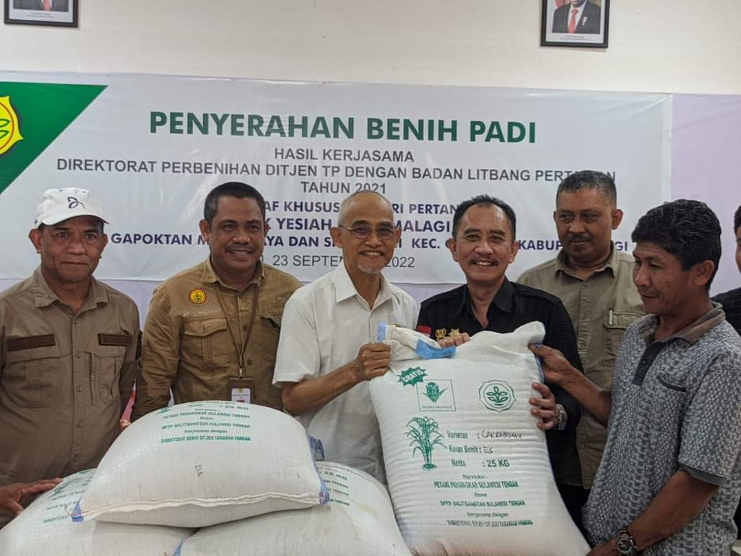 Dua Gapoktan di Kabupaten Sigi Terima Bantuan Benih Padi