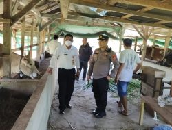 Polisi di Banggai Cek Kandang Ternak untuk Mencegah Wabah PMK