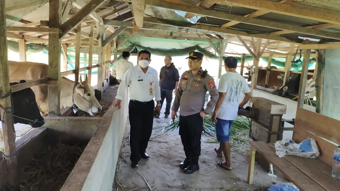 Polisi di Banggai Cek Kandang Ternak untuk Mencegah Wabah PMK