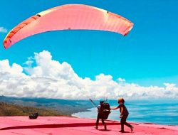 Pendaftar Kejuaraan Paralayang Internasional di Parimo Minim