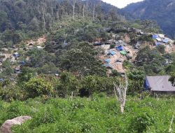 BBTNLL Akan Tertibkan Tambang Emas Ilegal Dongi-dongi