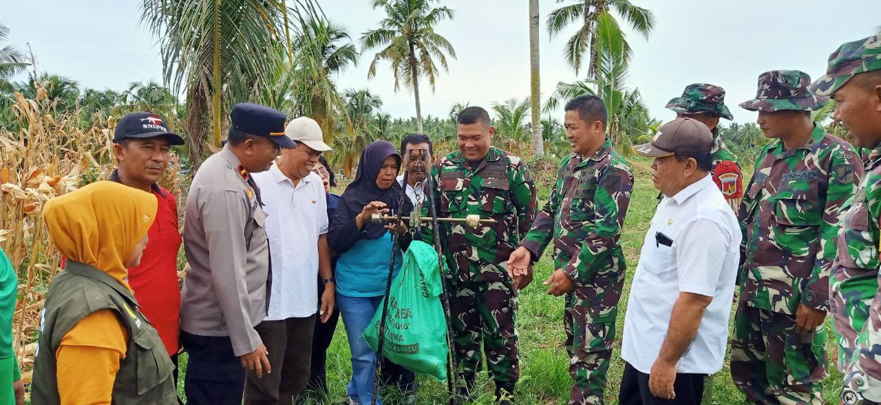 Koramil Parigi Panen Jagung Bersama Warga Tomoli Selatan