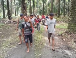 Pria Paruh Baya di Banggai Tewas Usai Dililit Ular