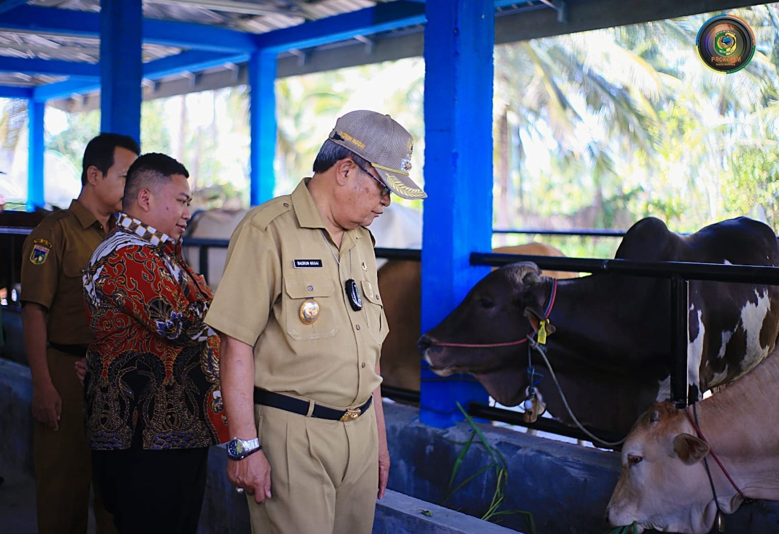 Kandang Sapi Komunal Program Bank Indonesia di Parimo Resmi Beroperasi