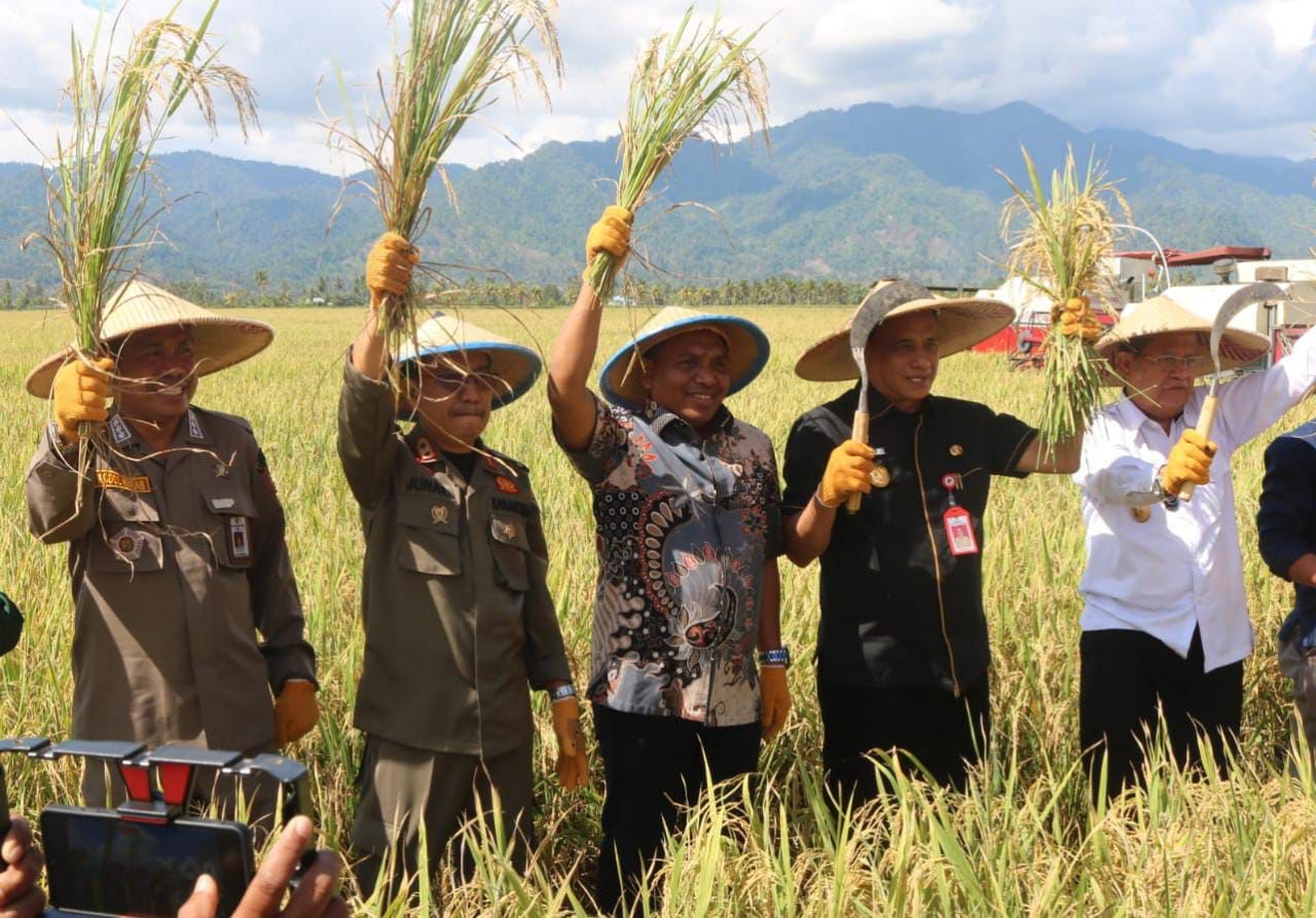 Staf Khusus Mentan Pantau Panen Padi Nusantara di Parimo