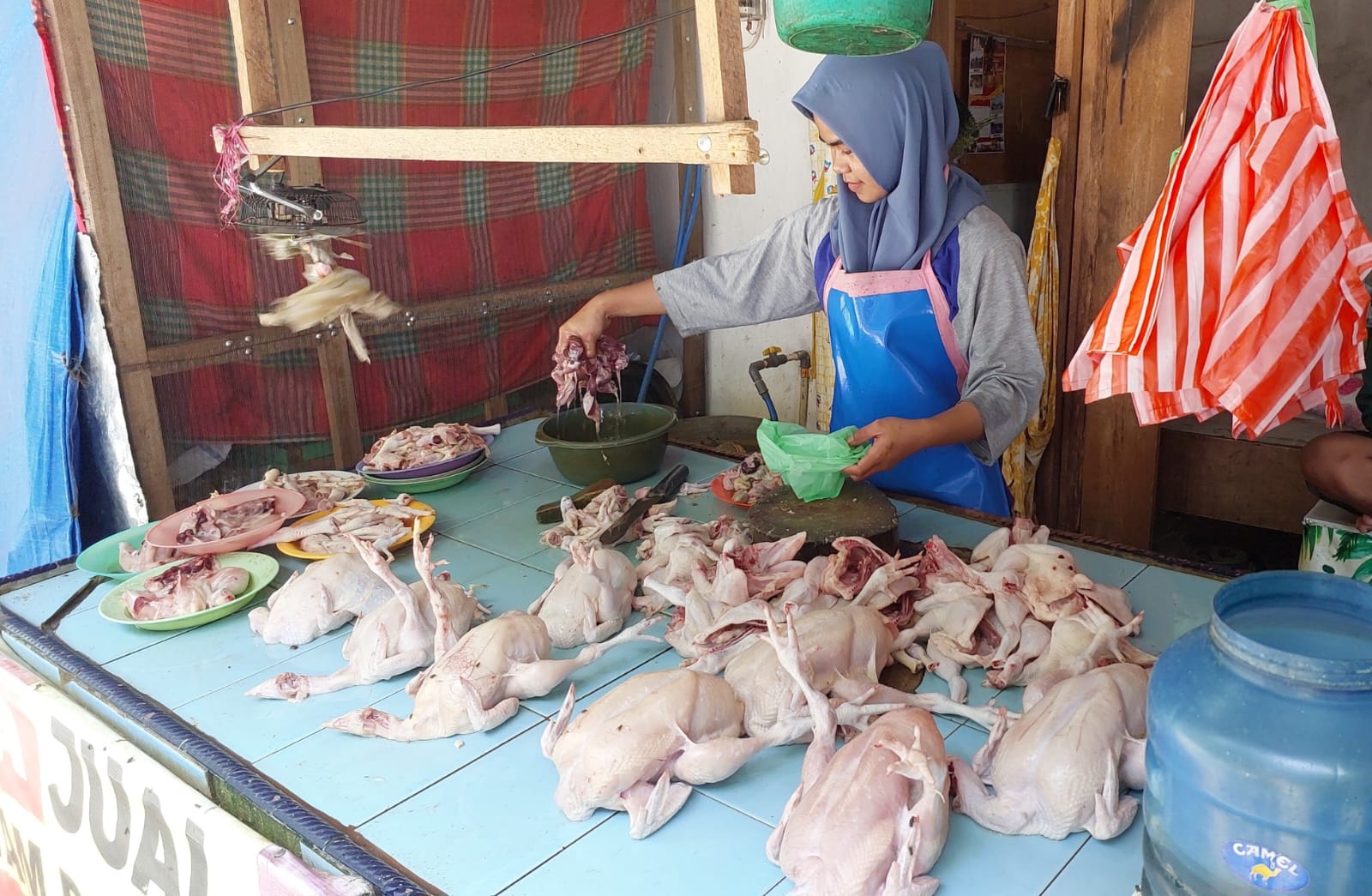 Stok Terbatas, Harga Daging Ayam Broiler di Parimo Selangit