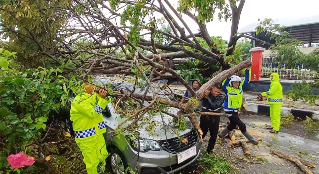 Pohon di Jalur 2 Kantor Bupati Parimo Tumbang, Timpa Mobil Minibus