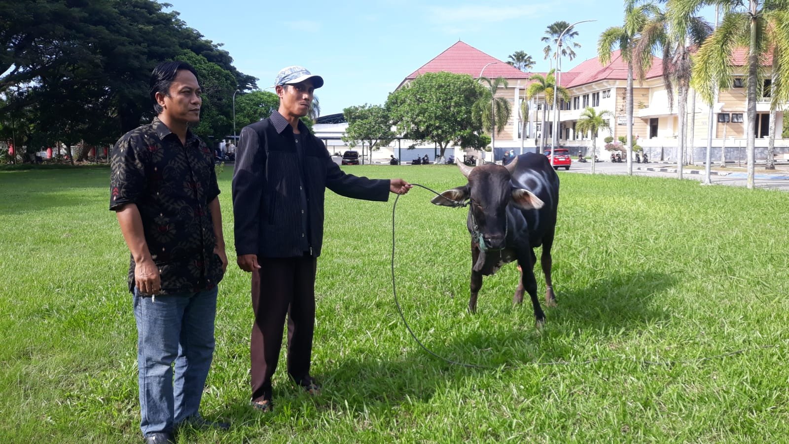 3 Ponpes Terima Hewan Kurban dari Pemda Parimo