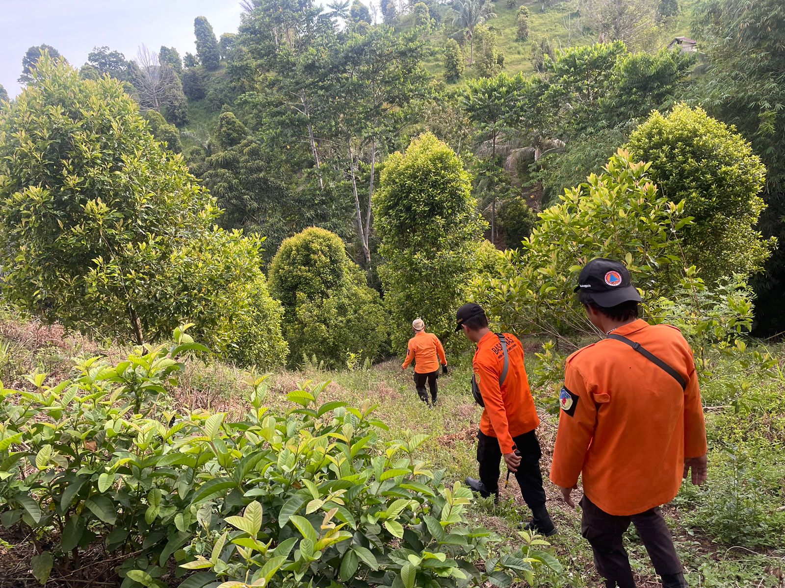 Tim SAR Cari Lansia Hilang Saat Berkebun di Donggala