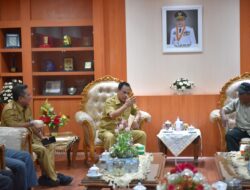 Wagub Sulteng Dorong Warga Ampibabo Kembangkan Komoditas Kelapa Dalam