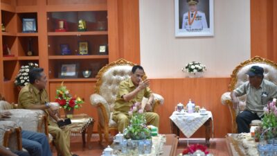Wagub Sulteng Dorong Warga Ampibabo Kembangkan Komoditas Kelapa Dalam