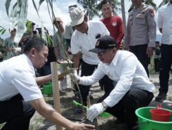 Bupati Irwan Buka Jambore Penanaman 1000 Bambu di Bantaran Sungai Poi
