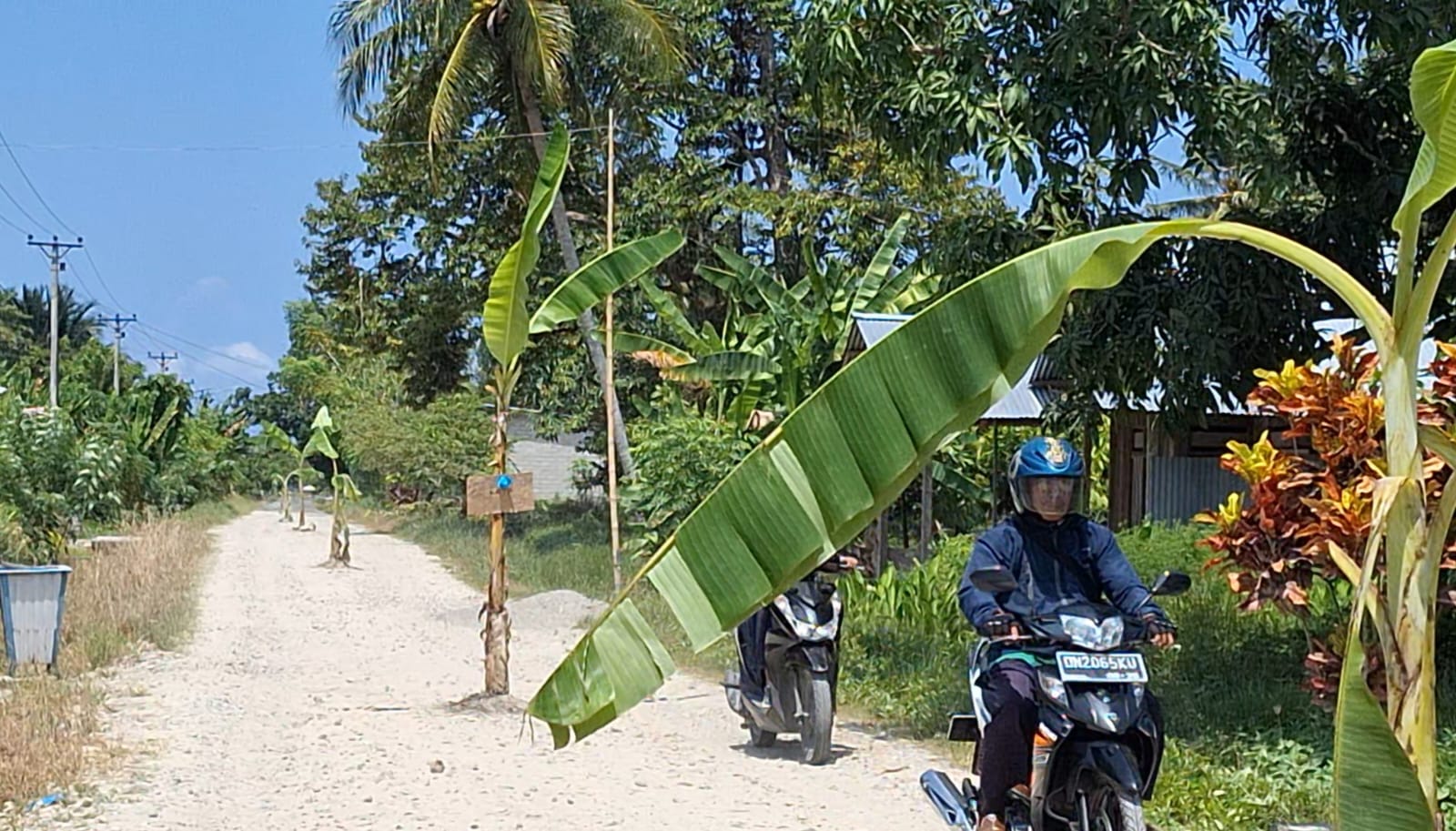 Warga Malakosa Tanam Pohon di Jalan, Buntut Proyek Mandek
