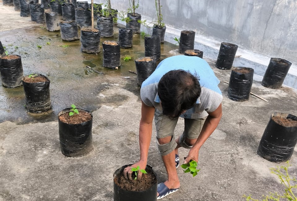 Wabin Ingin Mengulang Sukses Menanam Cabai di Lapas Parigi
