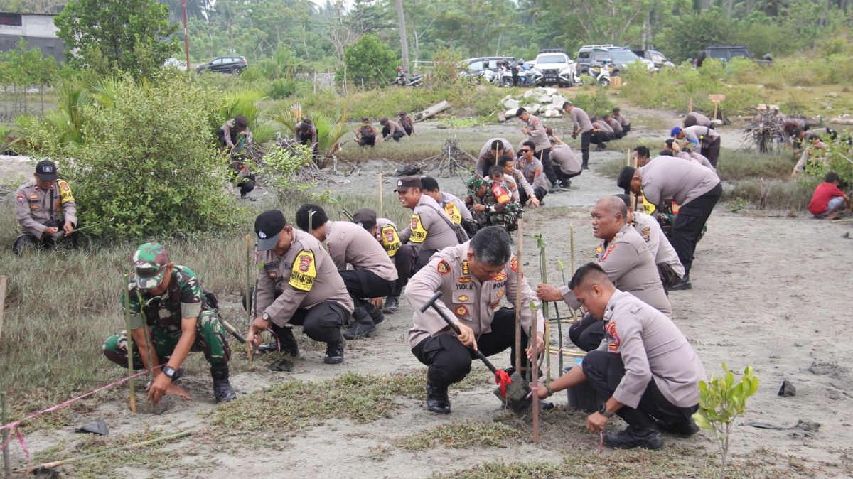 Polda Sulteng Tanam 1000 Bibit Mangrove di Pantai Popa