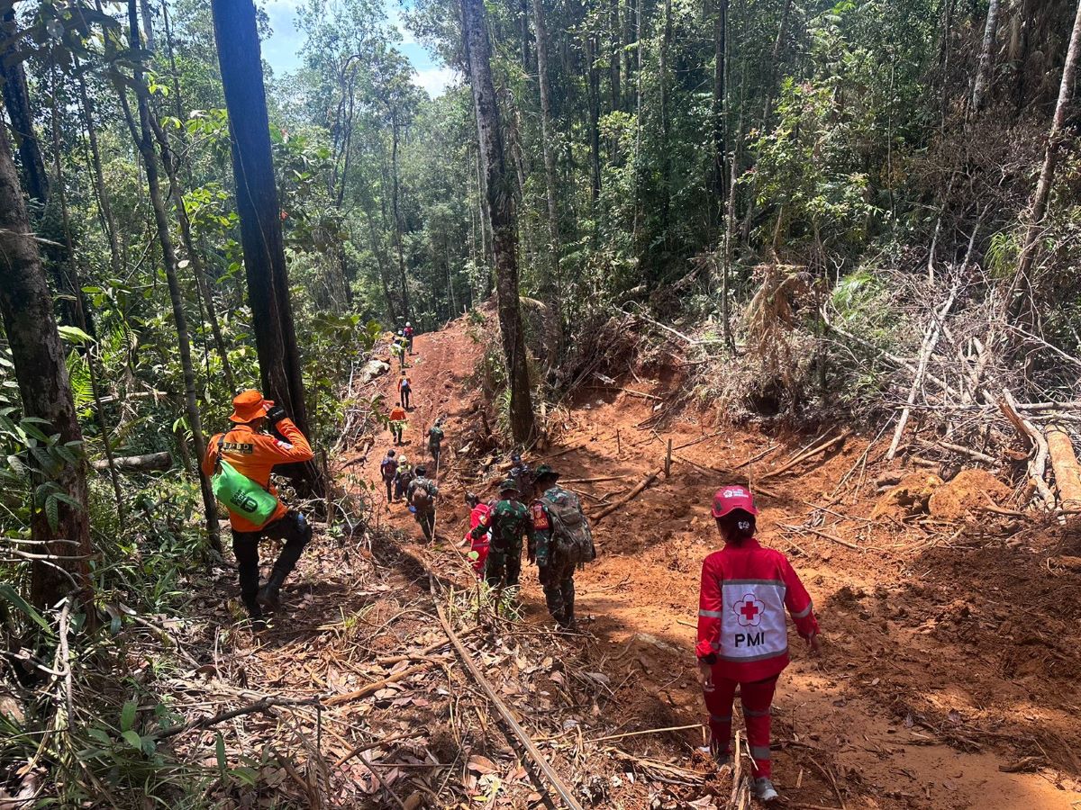 Tim SAR Cari Karyawan PT PIM yang Hilang di Hutan