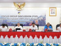 Pemprov Sulteng Gelar FGD Strategi Tingkatan DBH dari Sektor Pertambangan
