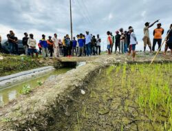 Bupati Amirudin Tinjau Dampak Kekeringan di Toili dan Moilong