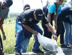 Sekda Sigi Tebar Benih Ikan Air Tawar dan resmikan Pasar Murah di Marwola