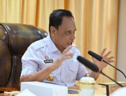 Tahun ini, Terget Realisasi Invetasi Sulteng Meningkat Dua Kali Lipat