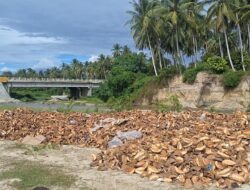 Dari Limbah Jadi Rupiah, DLH Parimo Siapkan Skema Retribusi dan Produksi Kompos Durian