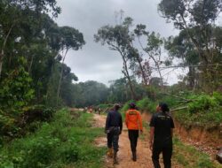 Pencari Kayu Gaharu Dilaporkan Hilang di Hutan Morut