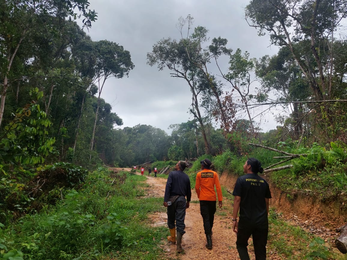 Pencari Kayu Gaharu Dilaporkan Hilang di Hutan Morut