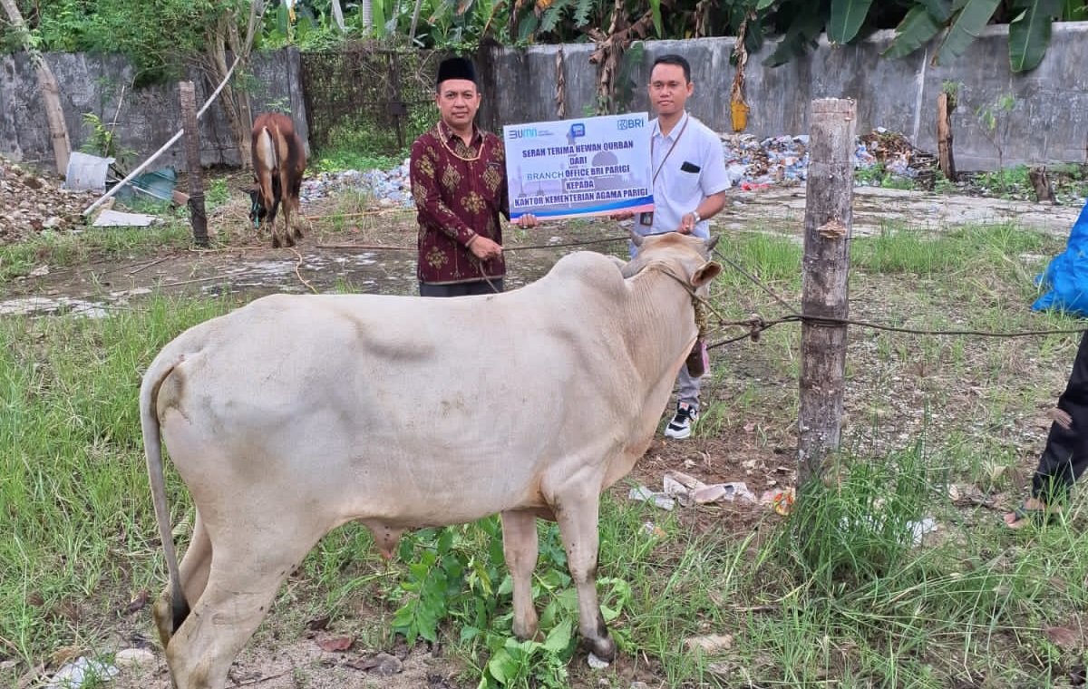 Kemenag Parimo Terima Hewan Kurban dari BRI Cabang Parigi