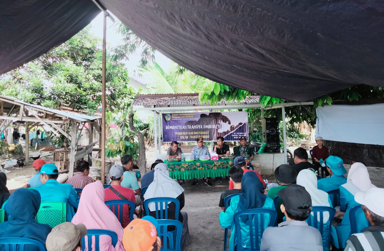 DISPKH Parimo Gencar Edukasi Perternak Teknologi Transfer Embrio