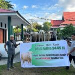 Iduladha 1445 Hijriah, Kejati Sulteng Sembelih 11 Sapi Kurban
