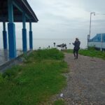 15 TPI Tidak Berfungsi, Kadis DKP Parimo: Hanya Jadi Tempat Pendaratan Perahu