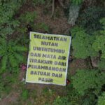 Pembangunan IKN Ancam Hutan Uwentumbu dan Mata Air Warga Buluri