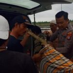 Perempuan Paruh Baya di Banggai Meninggal Tersengat Listrik Jebakan Tikus