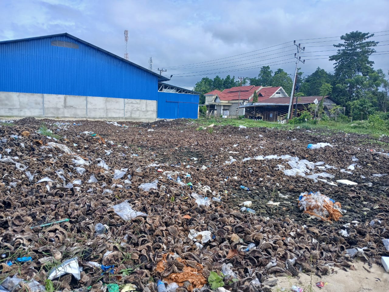 DLH Parimo Mengaku Belum Terima Aduan Soal Dampak Limbah Durian