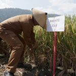 Wabup Sigi Letakan Batu Pertama dan Serahkan Bantuan Sapras di Kulawi Selatan