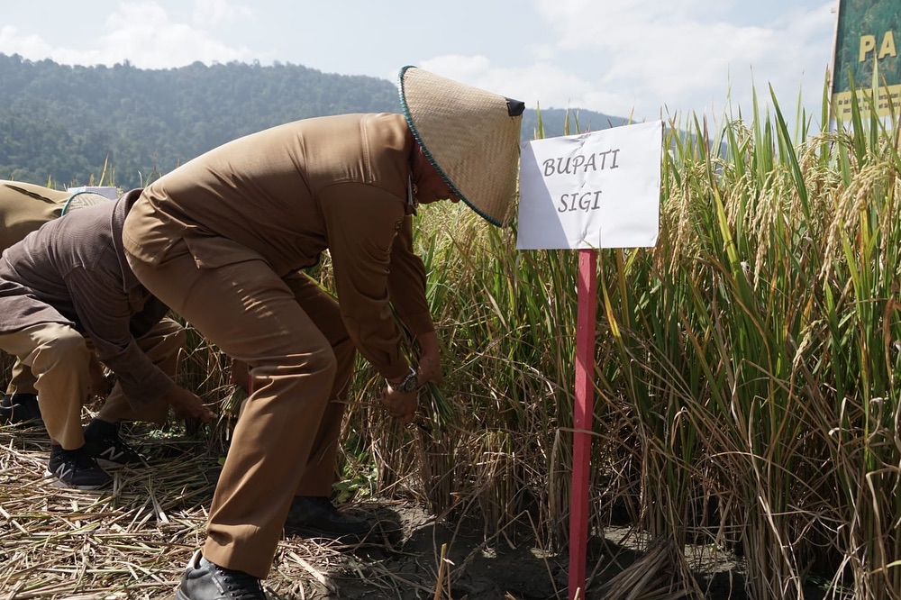 Wabup Sigi Letakan Batu Pertama dan Serahkan Bantuan Sapras di Kulawi Selatan