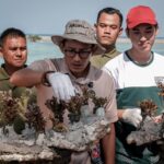 Menteri Sadiaga Uno Lakukan Transplantasi Terumbu Karang di Kepulauan Seribu